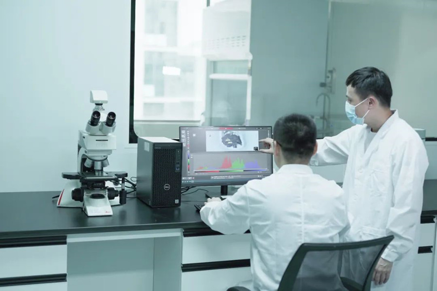 ��������-Ȩ����������Ѷ��ֱ��������һվʽ����ƽ̨