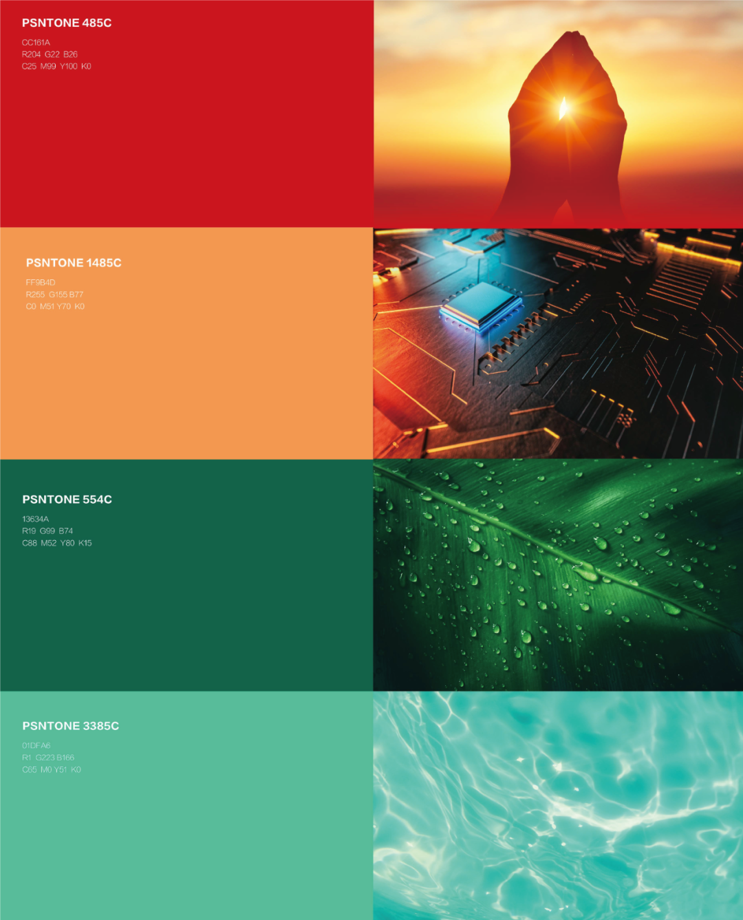 ��������-Ȩ����������Ѷ��ֱ��������һվʽ����ƽ̨